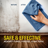 Bio Cide Laboratories BioCide 100 - Multi-Purpose Cleaner and Disinfectant Spray - Professional Grade Bacteria, Virus Mildew, and Fungi Remover