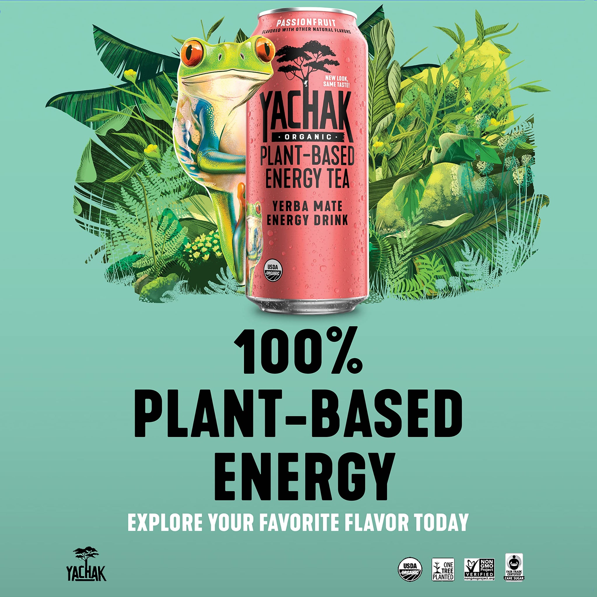 Yachak Yerba Mate Drink, Passionfruit, 16 Fl Oz (Pack of 12)