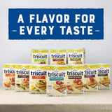 TRISCUIT Thin Crisps Crackers, Parmesan Garlic Flavor, 1 Box (7.1 oz..)