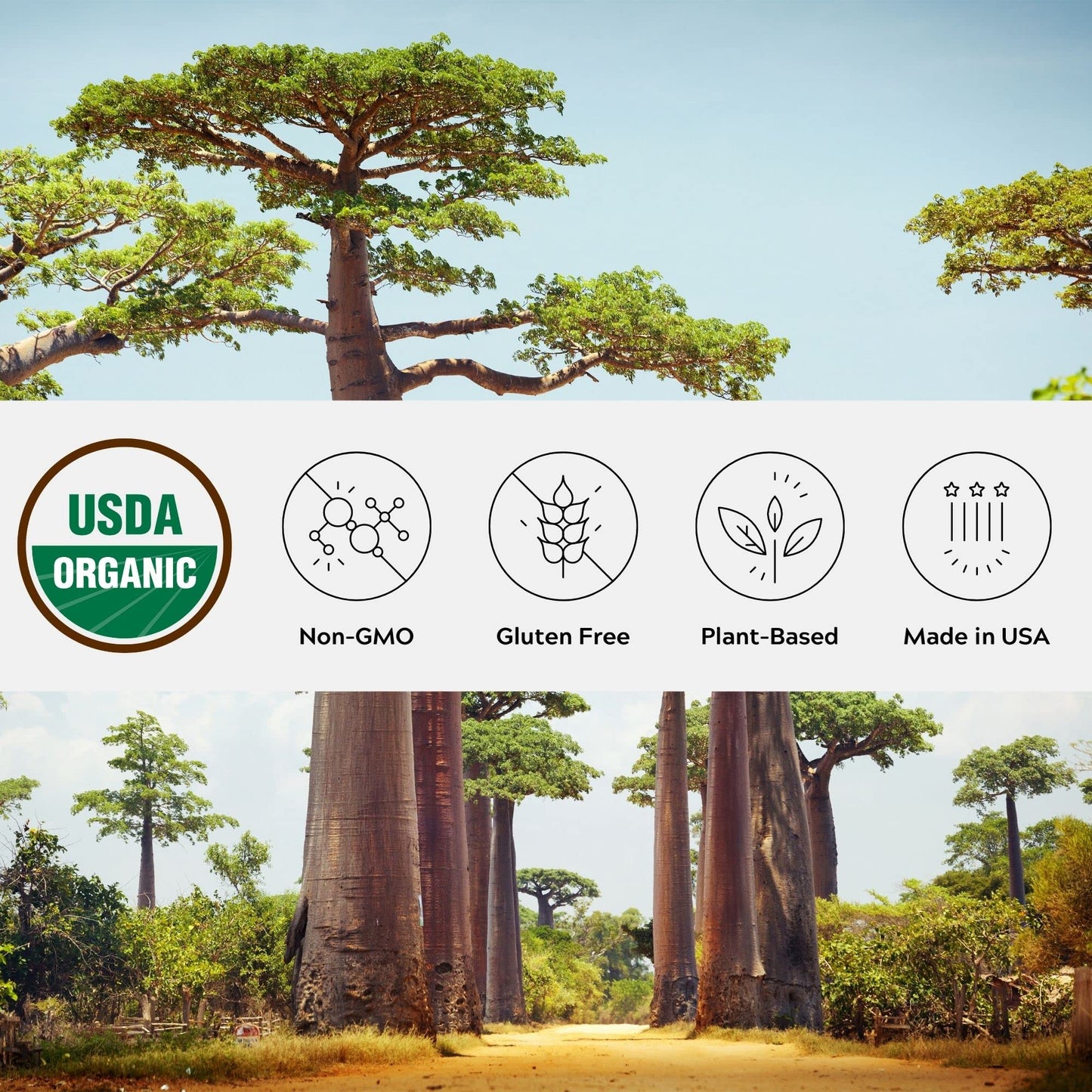 One Farm by WAAYB Organic Baobab Powder Non-GMO, Fair-Trade, Vegan, Gluten Free, Single Origin, 100% South African Baobab, Premium Quality in