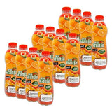 Jugo de Naranja Bundle - Includes 12 Bottles of 16.9 Fl Oz Each, 202 Fl Oz Total of Orange Juice Flavor - Perfect for Breakfast by De La Granja