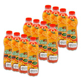 Jugo de Naranja Bundle - Includes 12 Bottles of 16.9 Fl Oz Each, 202 Fl Oz Total of Orange Juice Flavor - Perfect for Breakfast by De La Granja