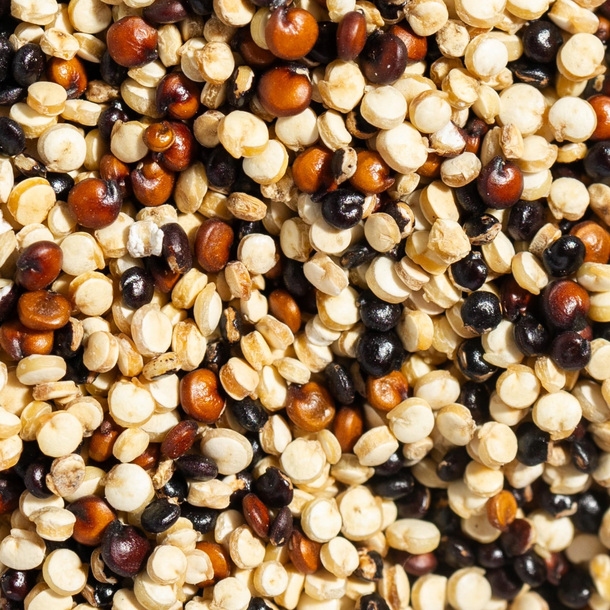 SIMPLi Regenerative Organic Certified Tri-Color Quinoa, Ancient Grain, Complete Plant-Based Protein, Naturally Gluten-Free, Organic Quinoa, 12 oz
