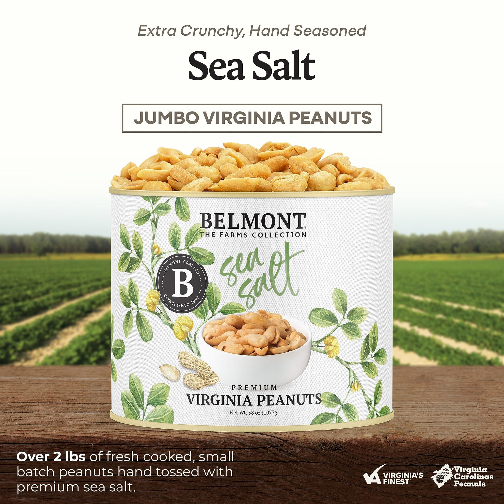 Belmont Peanuts Gourmet Sea-Salted Virginia Peanuts, 25 oz (1 Pack) - Only 3 Simple Ingredients, No Preservatives, 7g Protein - A Premium, Salty