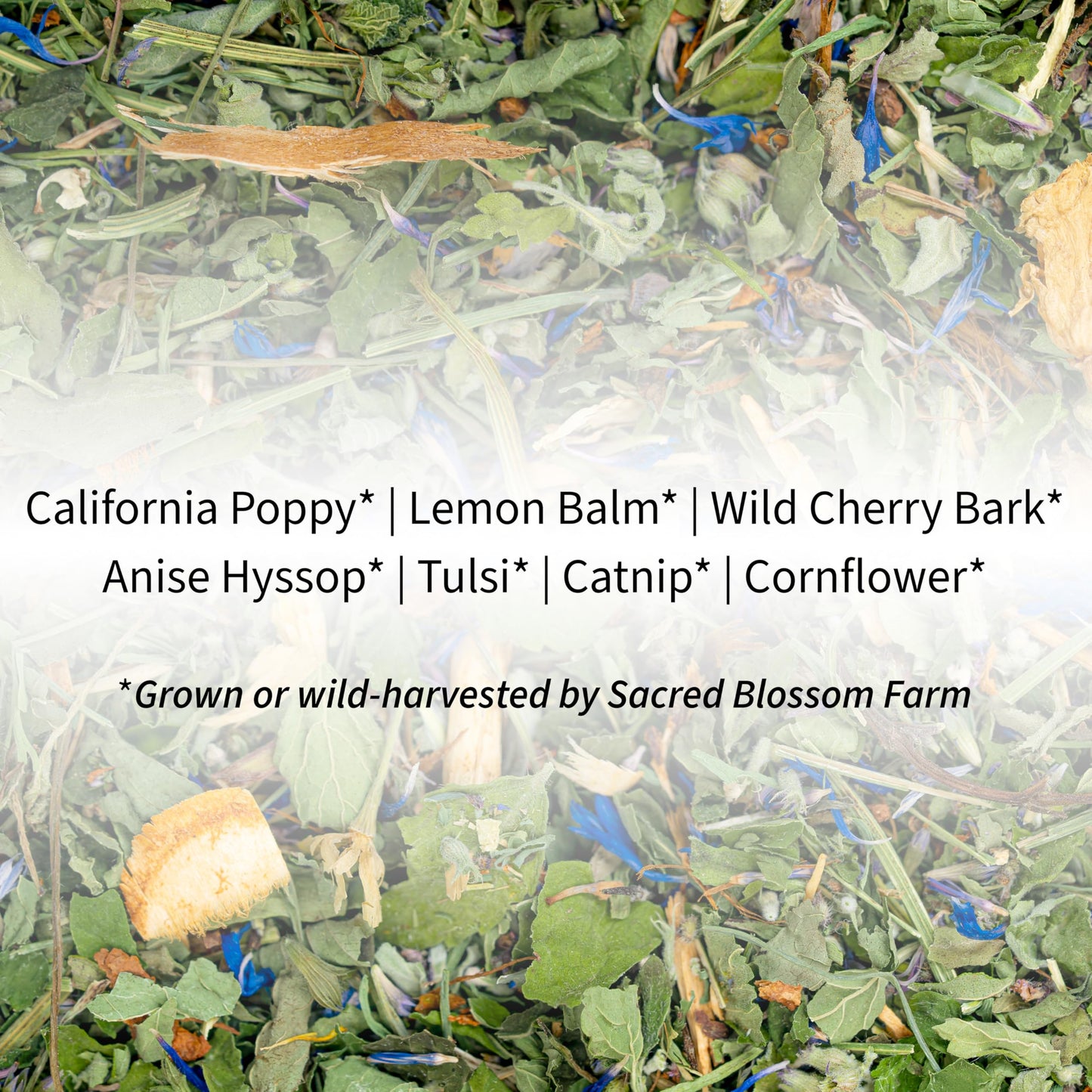 Dream Herbal Tea | Sacred Blossom Farm | 1.9 oz. Loose Leaf Tisane | Promotes Sleep* | Organically Grown in Wisconsin | Herbal Tea & Medicinal Herbs |