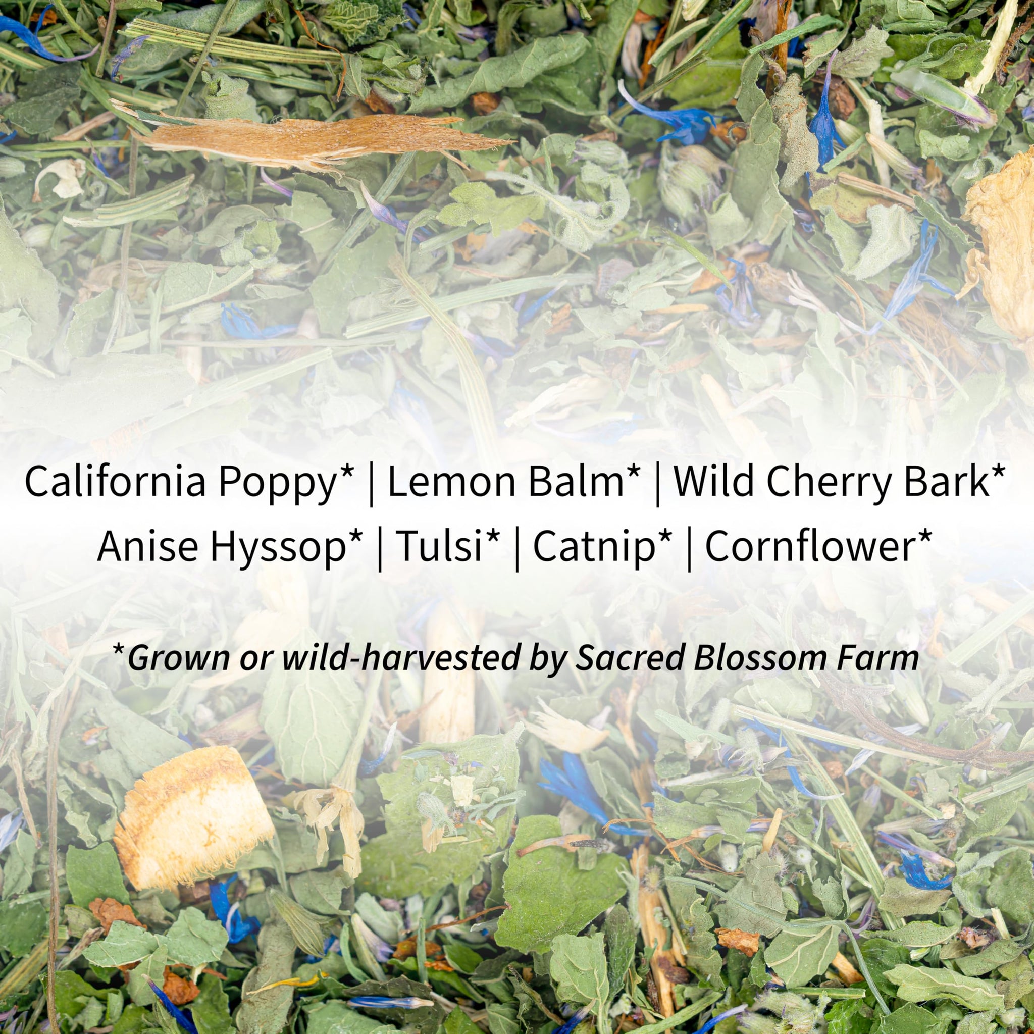 Dream Herbal Tea | Sacred Blossom Farm | 1.9 oz. Loose Leaf Tisane | Promotes Sleep* | Organically Grown in Wisconsin | Herbal Tea & Medicinal Herbs |