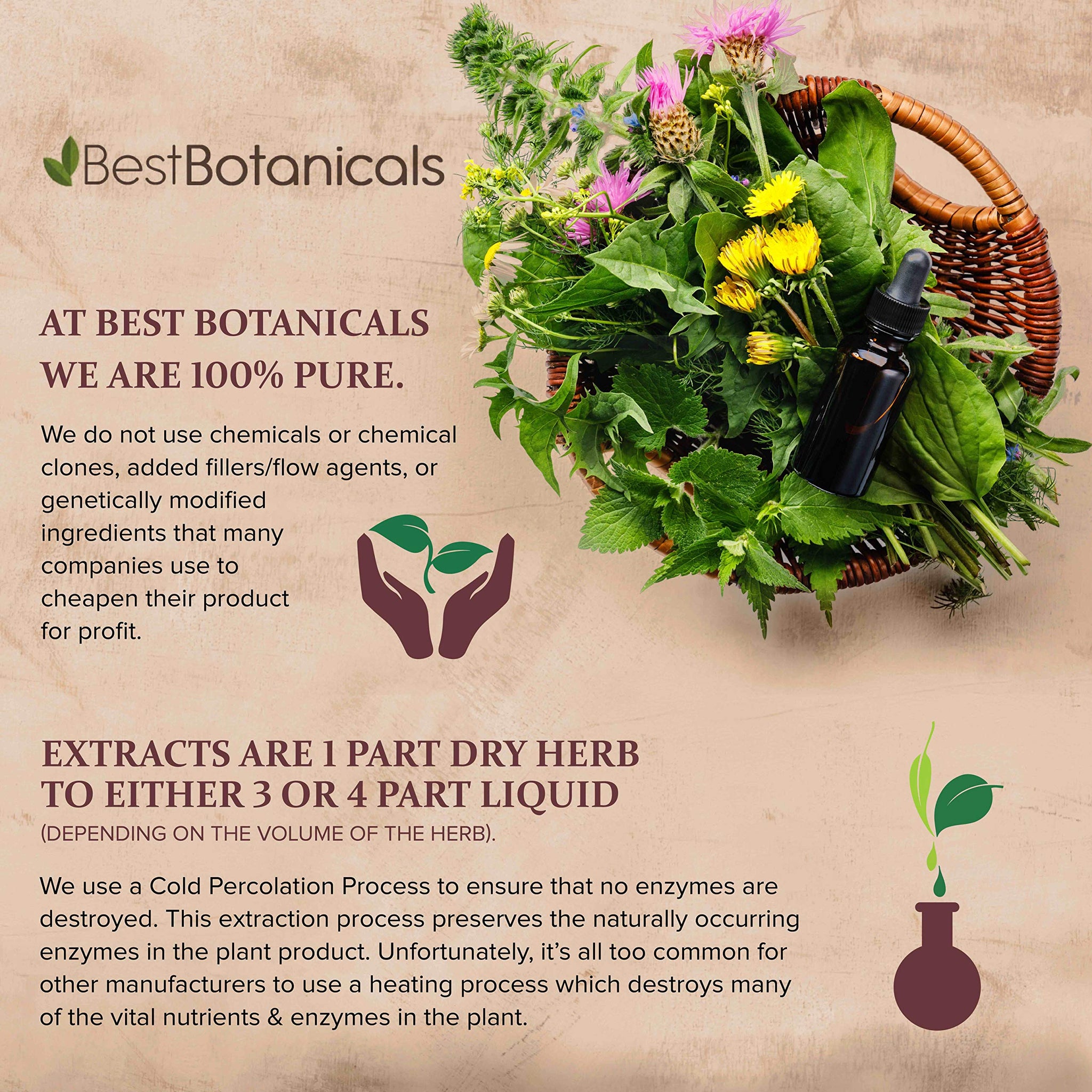 Best Botanicals Cedar Berry Extract 1 oz.