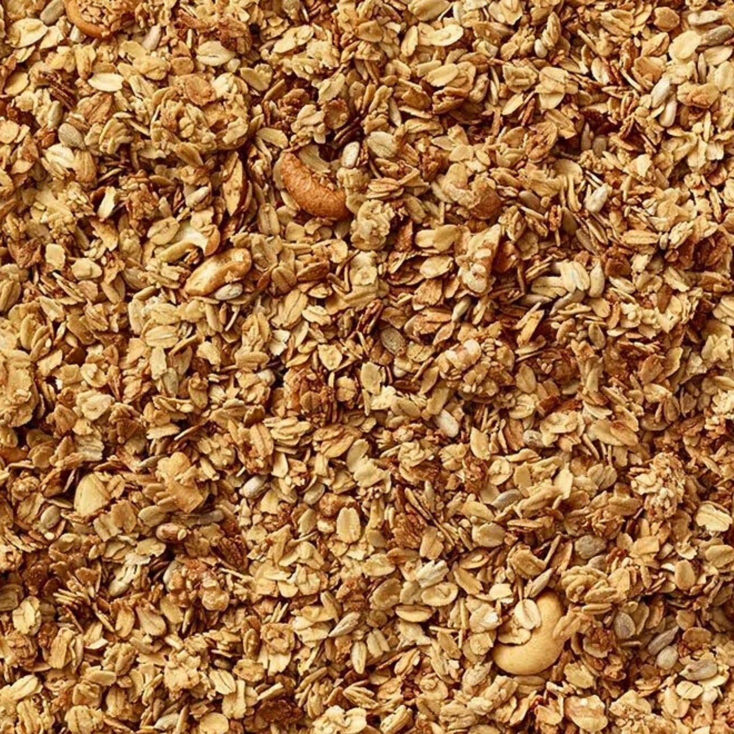 Grandy Organics Honey Nut Granola - Certified Organic & Gluten Free Granola - 8g Protein - Non GMO & Kosher - Oats, Honey, Seeds & Nuts - 2 Pack, 2