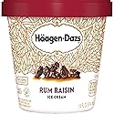 Haagen-Dazs, Rum Raisin Ice Cream, 14 fl oz (Frozen)