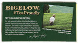 Bigelow Tea Jasmine Green Tea 20 Count (Pack of 1)