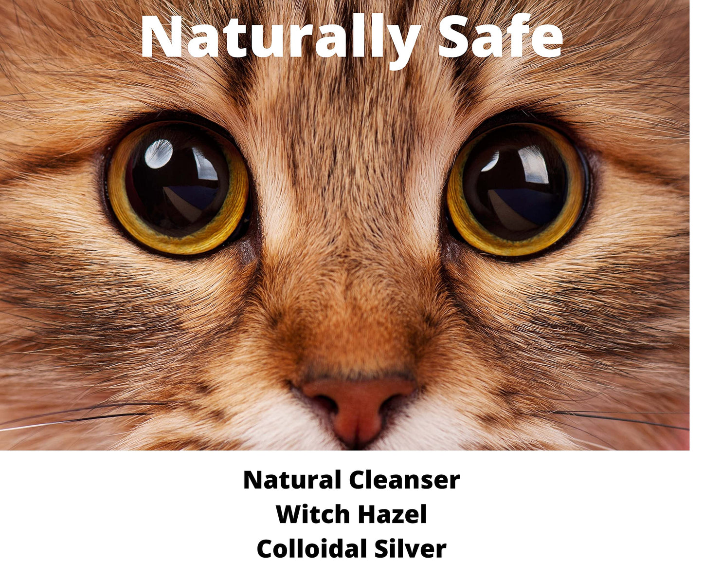 PawPurity Tear Stain Remover Kit for Cats | Includes Tear Stain Remover Solution, Powder and Application Pads | 100% Natural | Tear Stain Removal