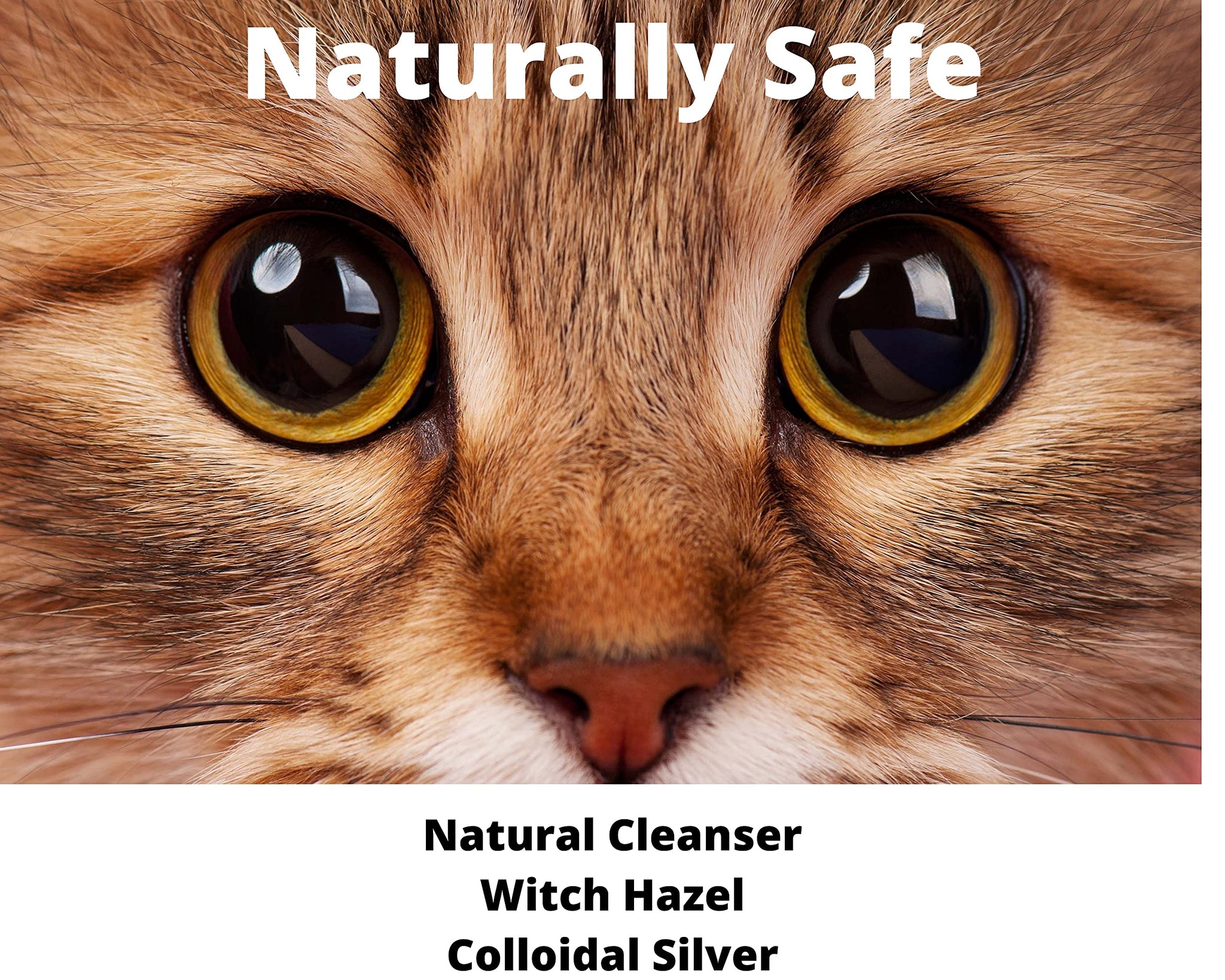 PawPurity Tear Stain Remover Kit for Cats | Includes Tear Stain Remover Solution, Powder and Application Pads | 100% Natural | Tear Stain Removal