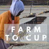 Revocup Ethiopian Harrar Whole Bean Coffee 12oz Single Origin, Natural Process, Specialty Grade Medium Roast, Mocha & Chocolate Flavors, USDA