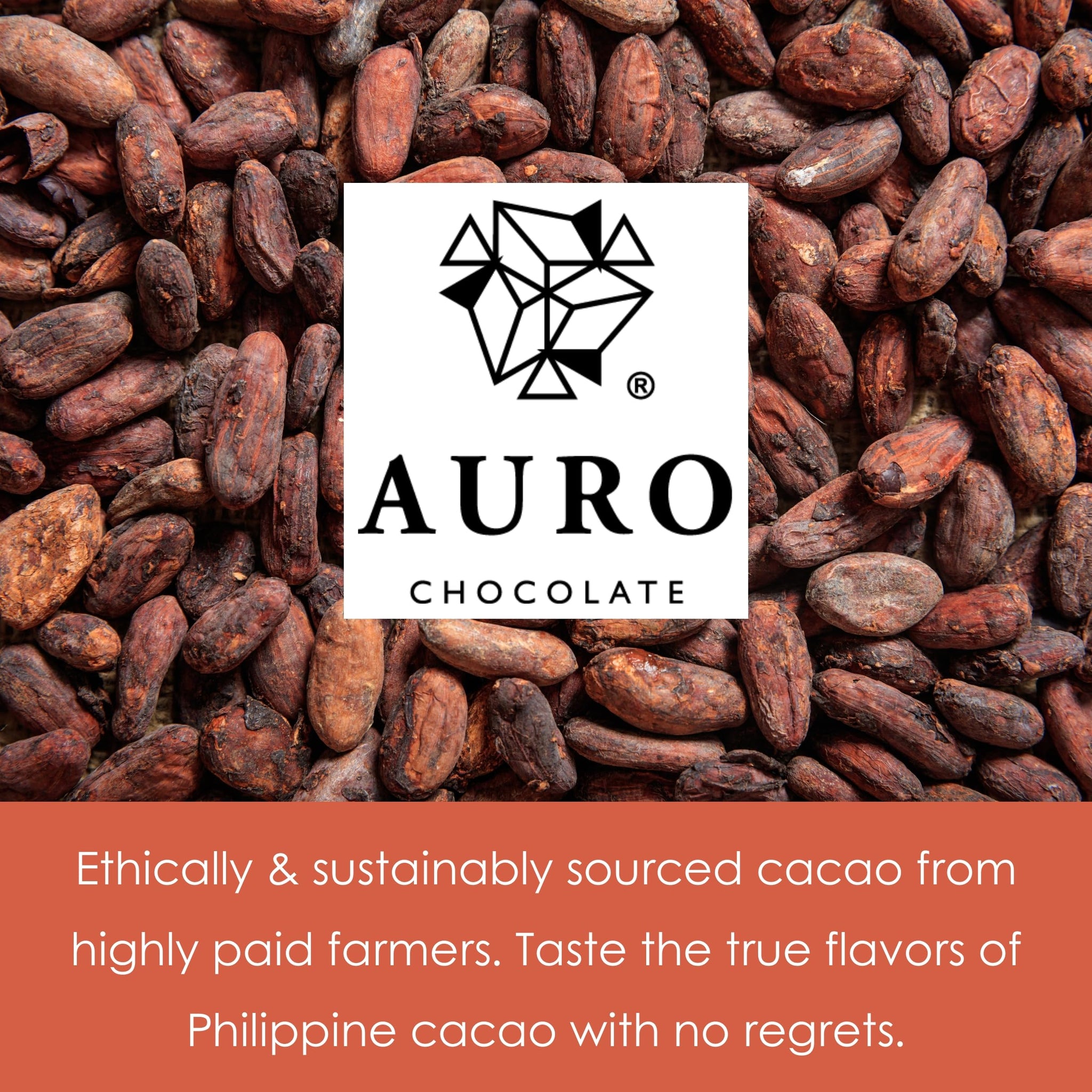 Auro - Fiesta Collection - Filipino Chocolate Bundles (Calamansi Cheesecake 34%, 3 Pack)