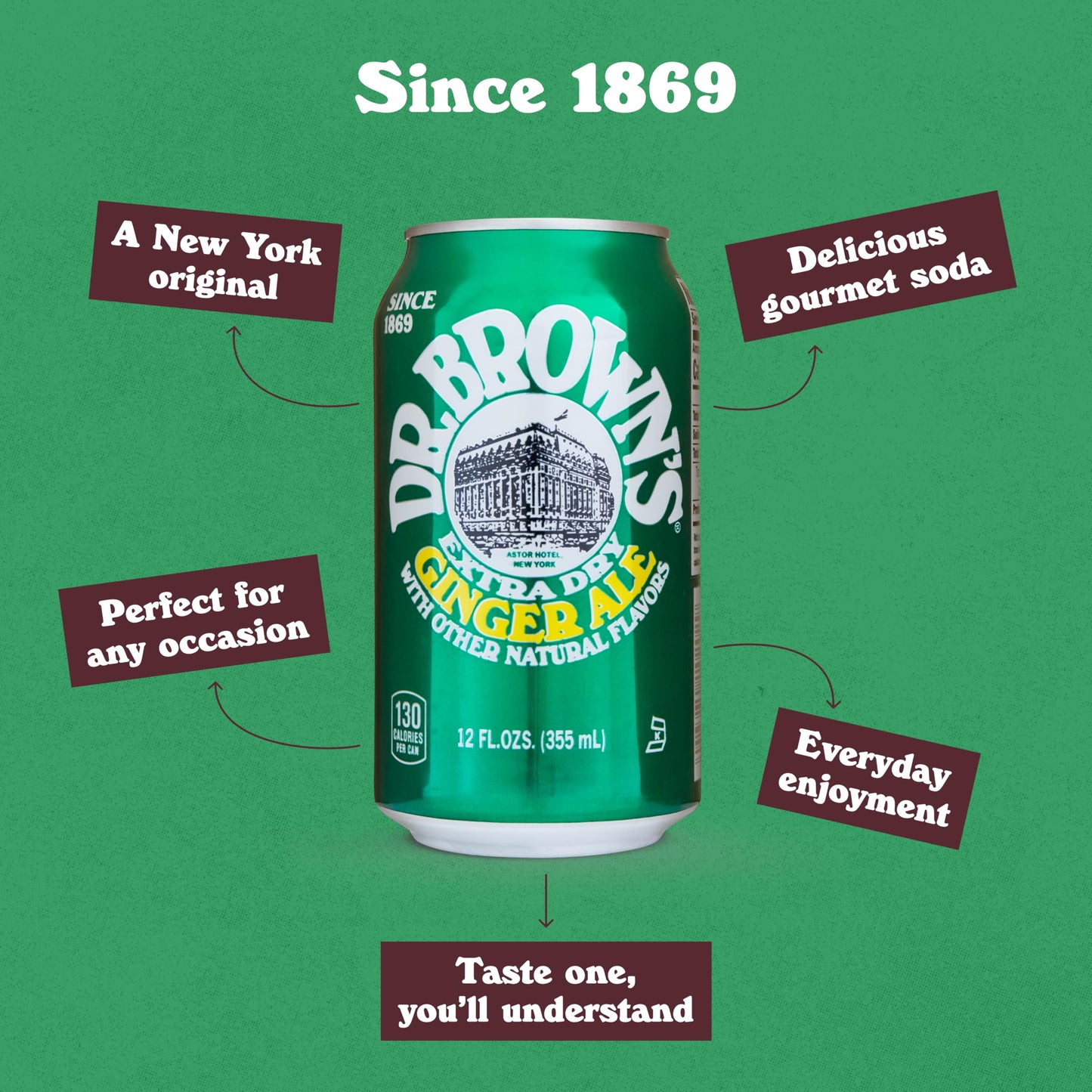 Dr. Brown's Ginger Ale Soda - A New York Original - 24 Cans of Refreshing, Kosher, Gourmet Soda Pop - Ginger Ale Soda - 24 x 12 oz Cans