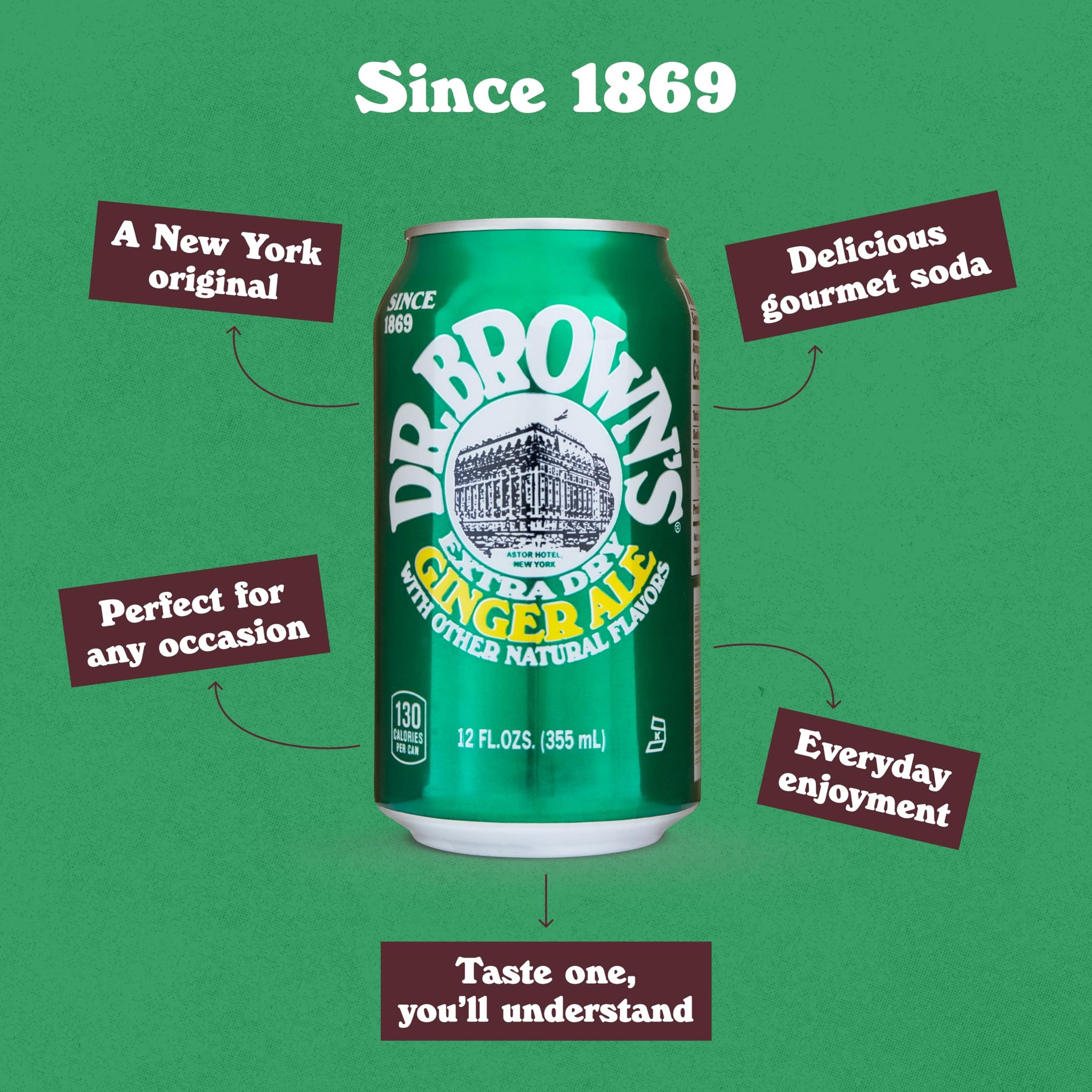 Dr. Brown's Ginger Ale Soda - A New York Original - 24 Cans of Refreshing, Kosher, Gourmet Soda Pop - Ginger Ale Soda - 24 x 12 oz Cans