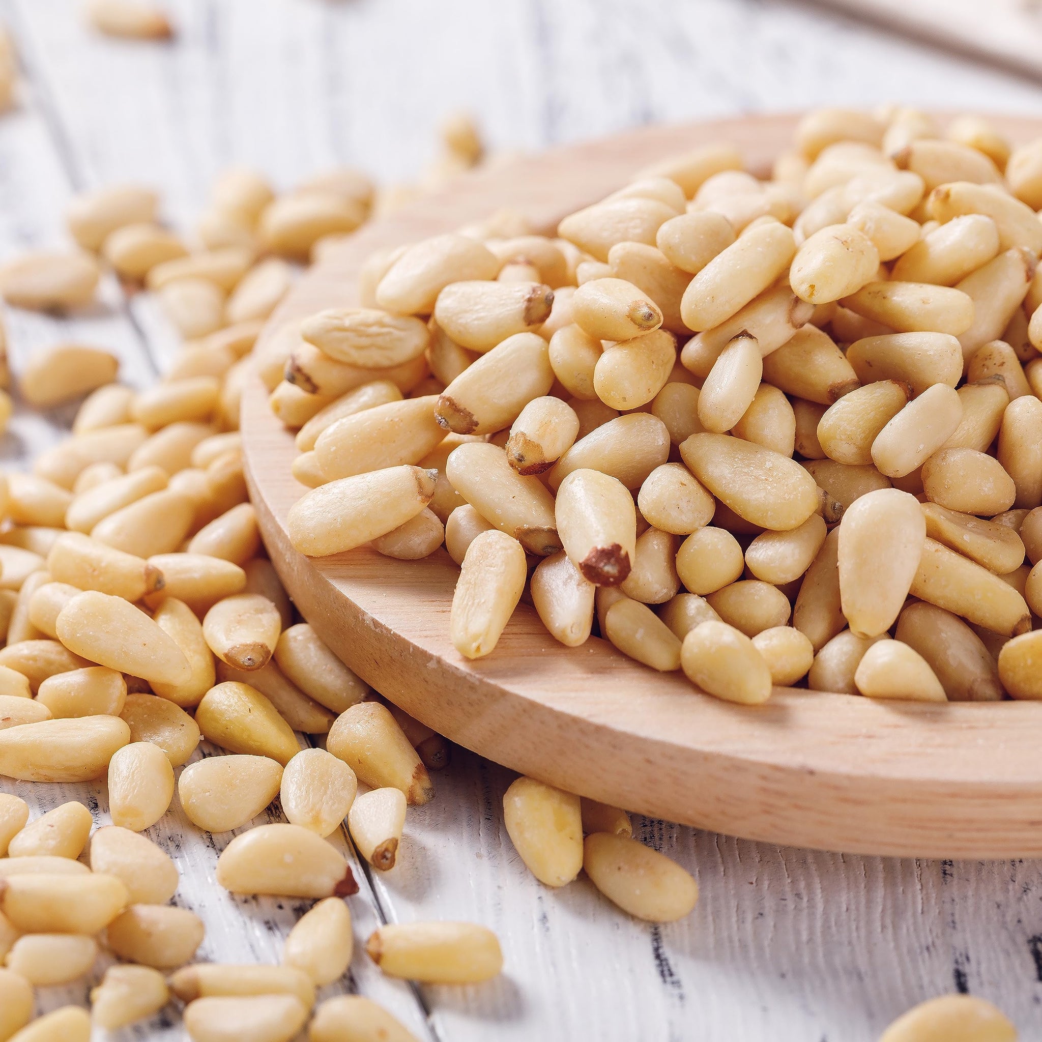 Raw Pine Nuts 1 Pound | Whole Natural Unsalted Pignolias | Great for Cooking, Baking, Salads, Pesto Sauce, Roasting | Vegan, Keto, Paleo Friendly |