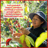 Mount Hagen Instant Espresso Coffee, Eco-friendly Organic Espresso Coffee Made From Medium Roast Arabica Beans, Freeze Dried Instant Coffee
