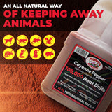 Cayenne Pepper Powder Bulk - 100,000 Heat Units - 5lb Jar.