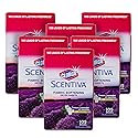 Clorox Scentiva Fabric Softener Dryer Sheets, Tuscan Lavender & Jasmine Scent - Wrinkle Reducing Scented Softening Laundry Dryer Sheets for Great