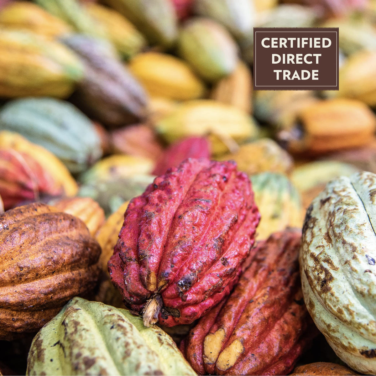 Beyond Good 92% Cocoa Pure Dark Chocolate | 6 Pack - Chocolate Bars | Organic, Direct Trade, Vegan, Kosher, Non-GMO | Single Origin Heirloom