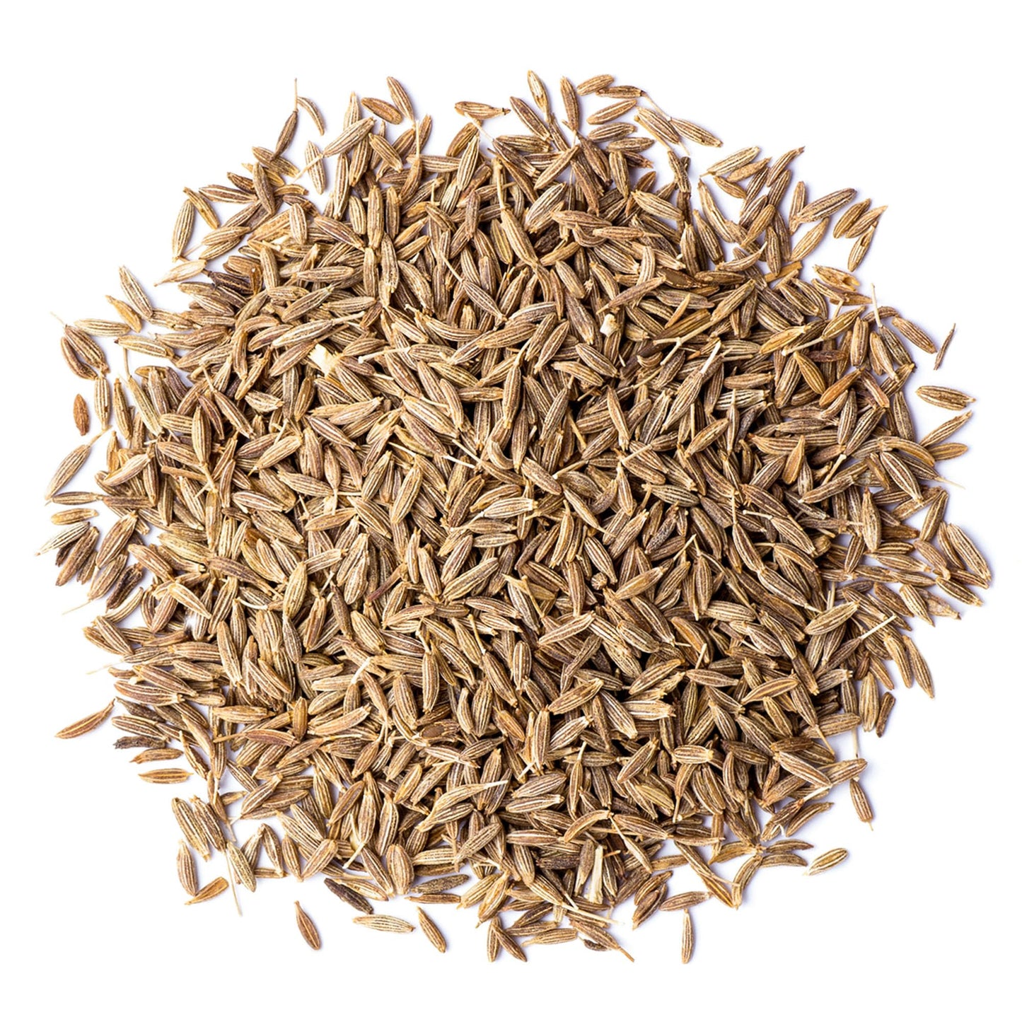 Food to Live Organic Cumin Seeds, 10 Pounds - 100% Natural, Non-GMO, Aromatic Seasoning, Perfect for Spices, Baking and Pickling, Vegan, Kosher, Bulk