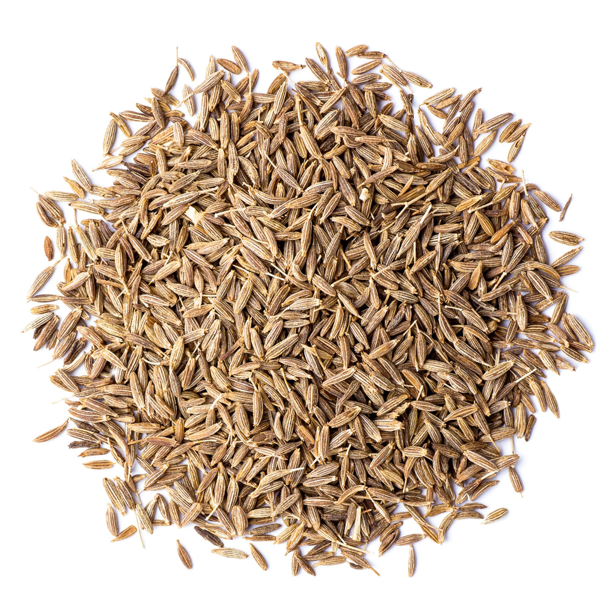 Food to Live Organic Cumin Seeds, 10 Pounds - 100% Natural, Non-GMO, Aromatic Seasoning, Perfect for Spices, Baking and Pickling, Vegan, Kosher, Bulk