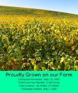 Palouse Brand Certified Glyphosate Residue Free Chickpea Flour | 9 LBS | Family Farmed in Washington State | Unbleached | Non-GMO Project Verified |
