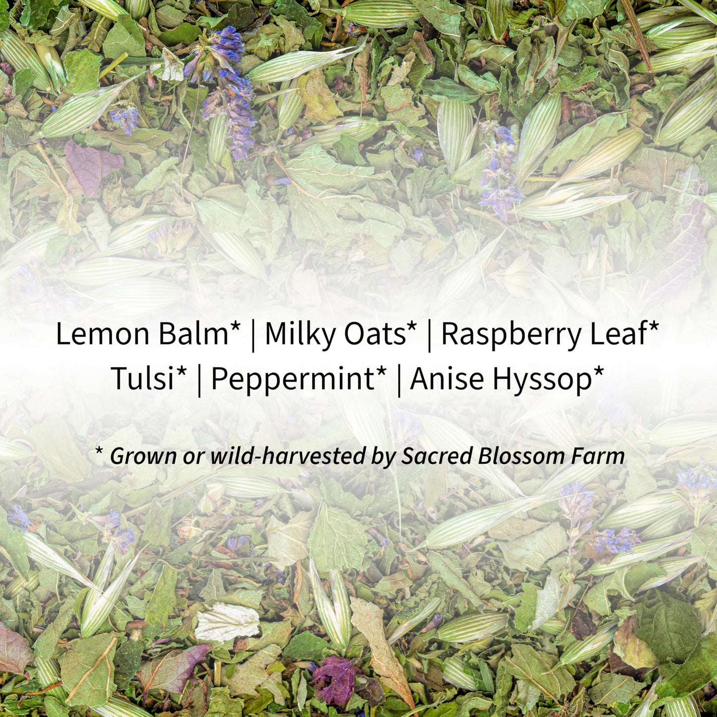 Turtle Herbal Tea | Sacred Blossom Farm | 1.4 oz Loose Leaf | Calm and Wellbeing* | Minimally Processed Wisconsin-Grown Herbal Tea & Medicinal Herbs |