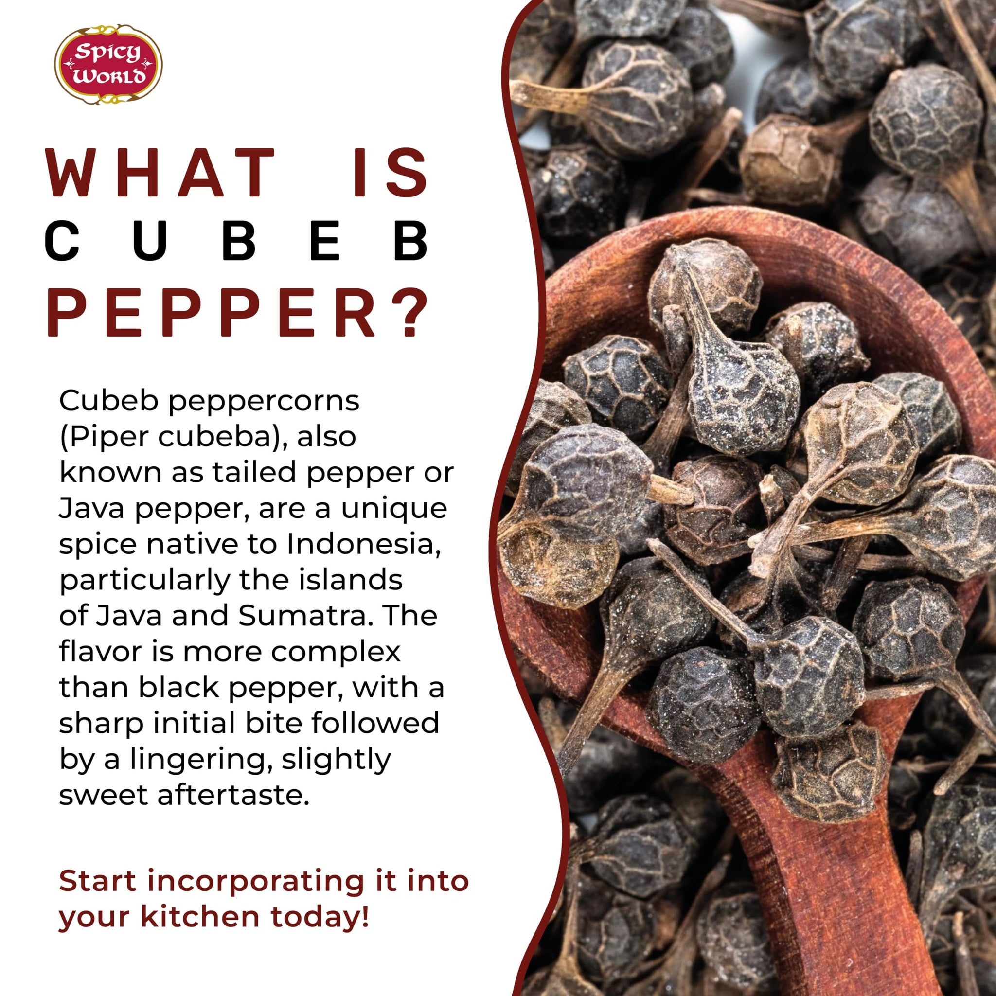 Spicy World Cubeb Pepper 3.5oz (100g) - Java Pepper - Premium Grade from Indonesia, Pure, Natural, Gluten free