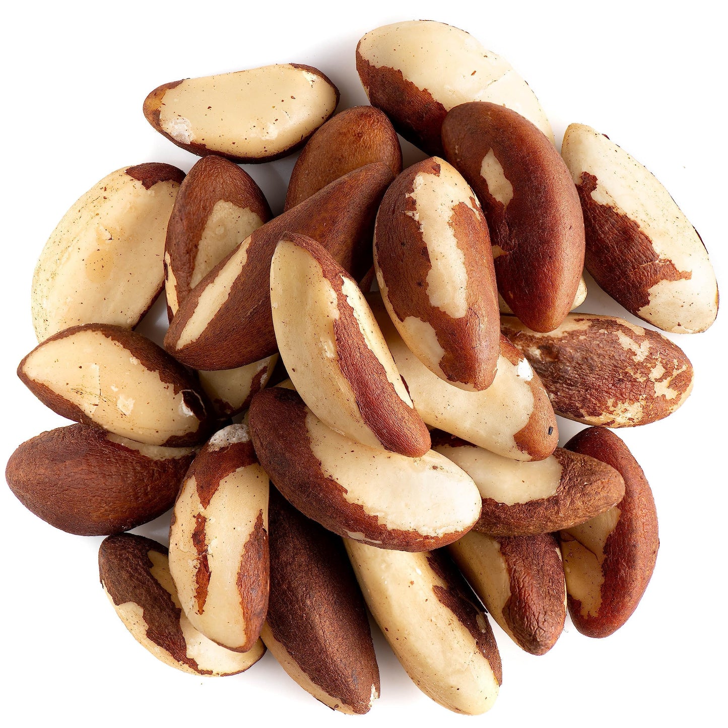 Raw Brazil Nuts 1 lb (16 oz) - Wild Harvested, Unsalted, Whole, High Selenium, Non-GMO, Single-Origin Bolivia, Gluten-Free, Kosher, Resealable Bag |
