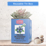 Brew La La Organic Green Tea - Natural Blueberry Flavor - 50 Double Chambered Bags - Low Caffeine Gourmet Tea - Certified Organic