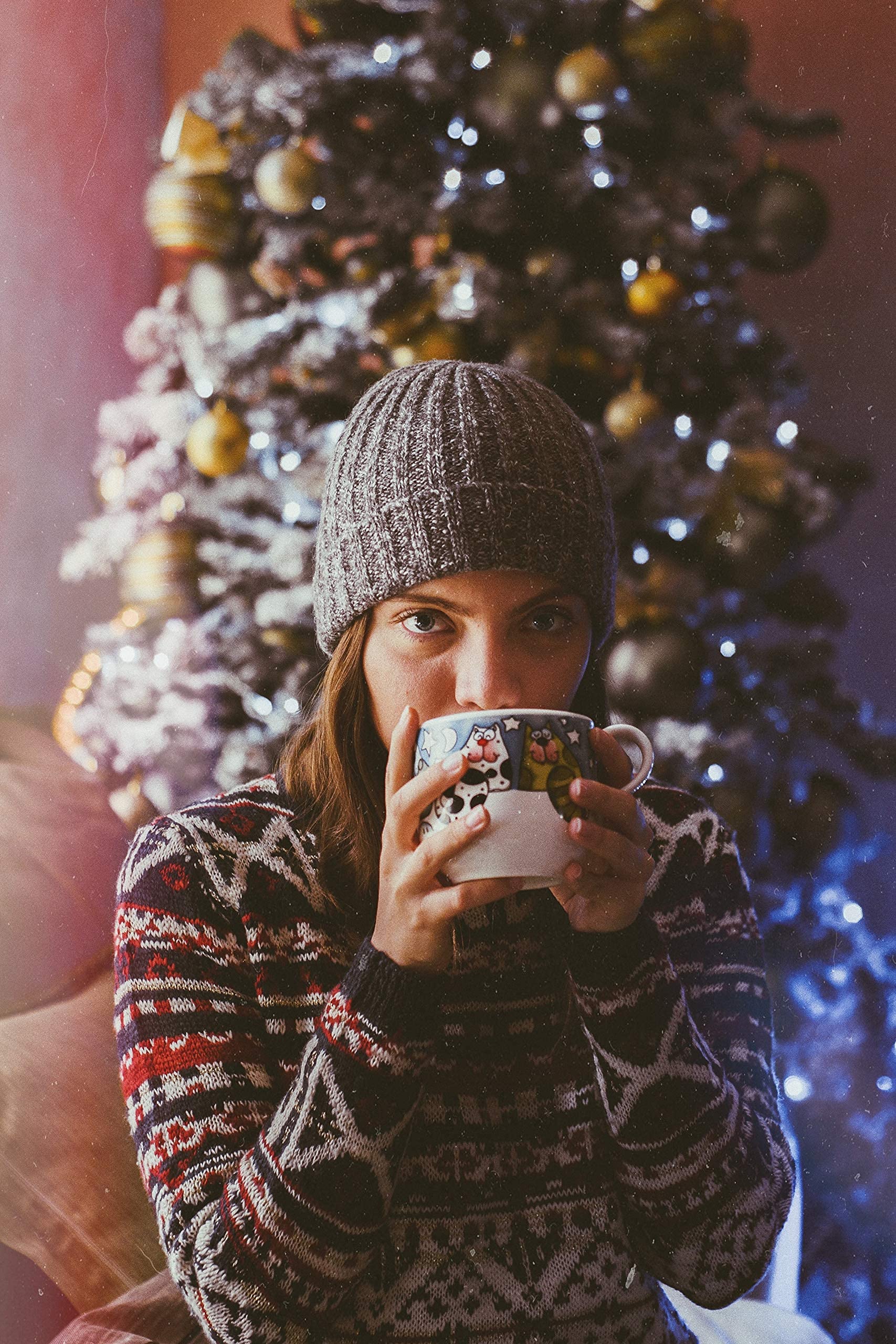 Hawaiian Paradise Coffee Holiday - Christmas Ground Coffee Medium Roast Flavors - 10oz Bag - Arabica Coffee (Gingerbread)