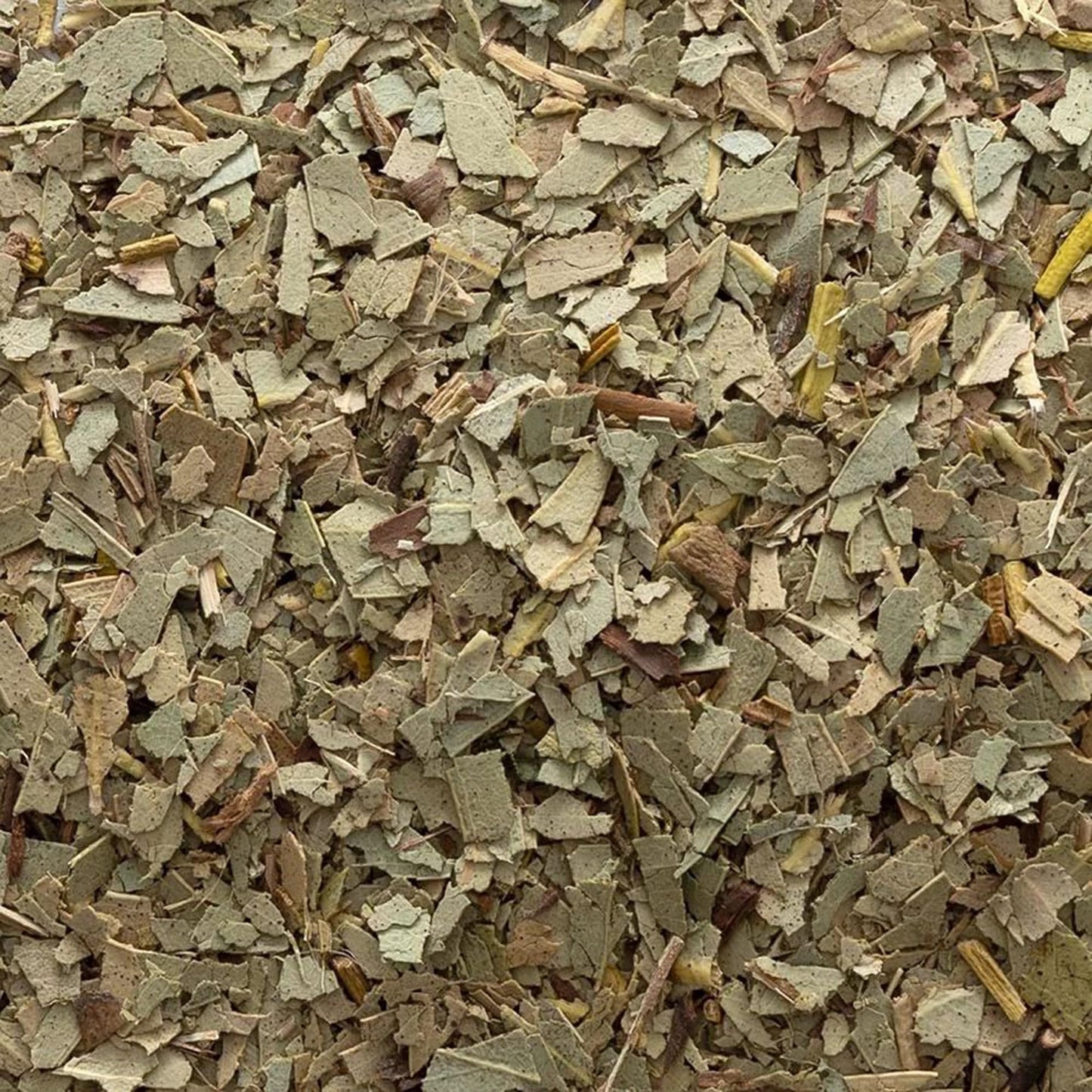 FRONTIER Eucalyptus Leaf Cs, 16 OZ