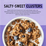 Purely Elizabeth, Blueberry, Ancient Grain Granola, Gluten-Free, Non-GMO, 12 Ounce (Pack of 3)