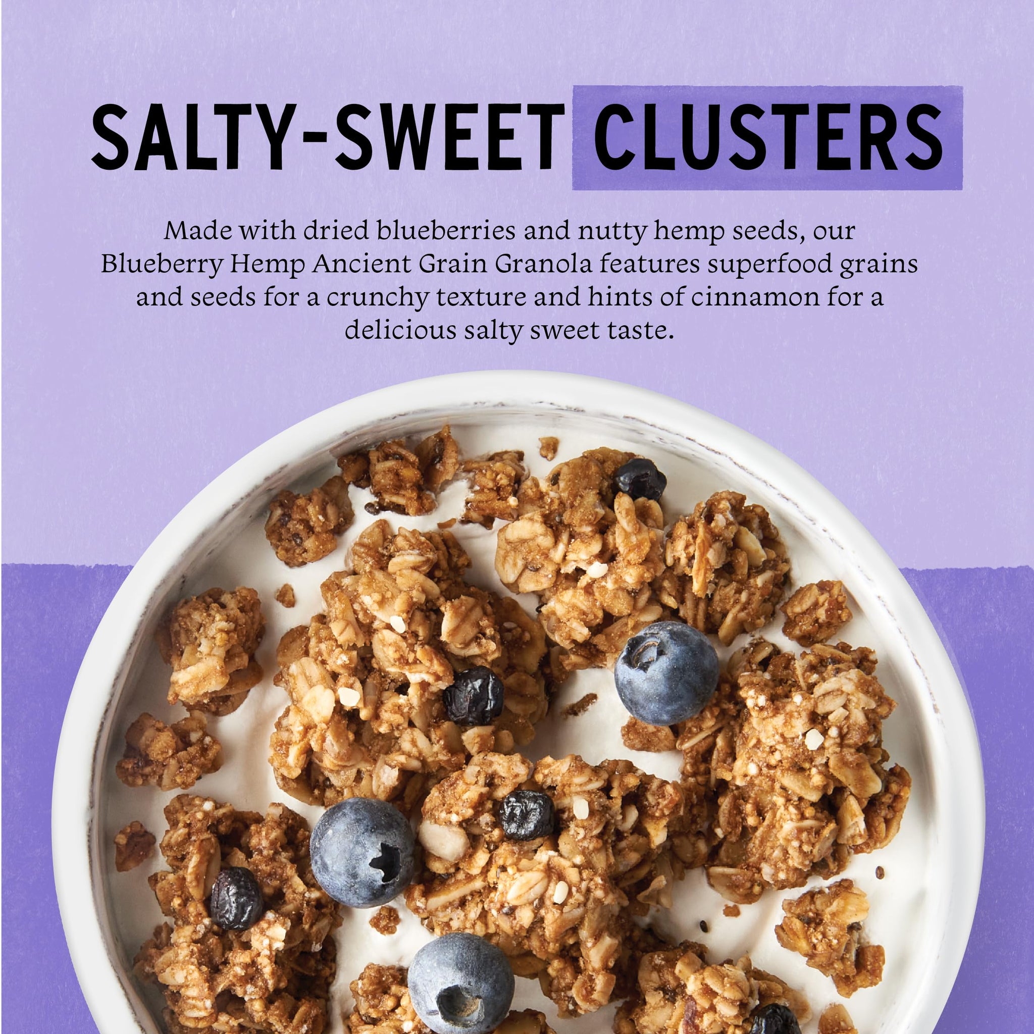 Purely Elizabeth Ancient Grain Granola Cereal Blueberry Hemp, 12oz