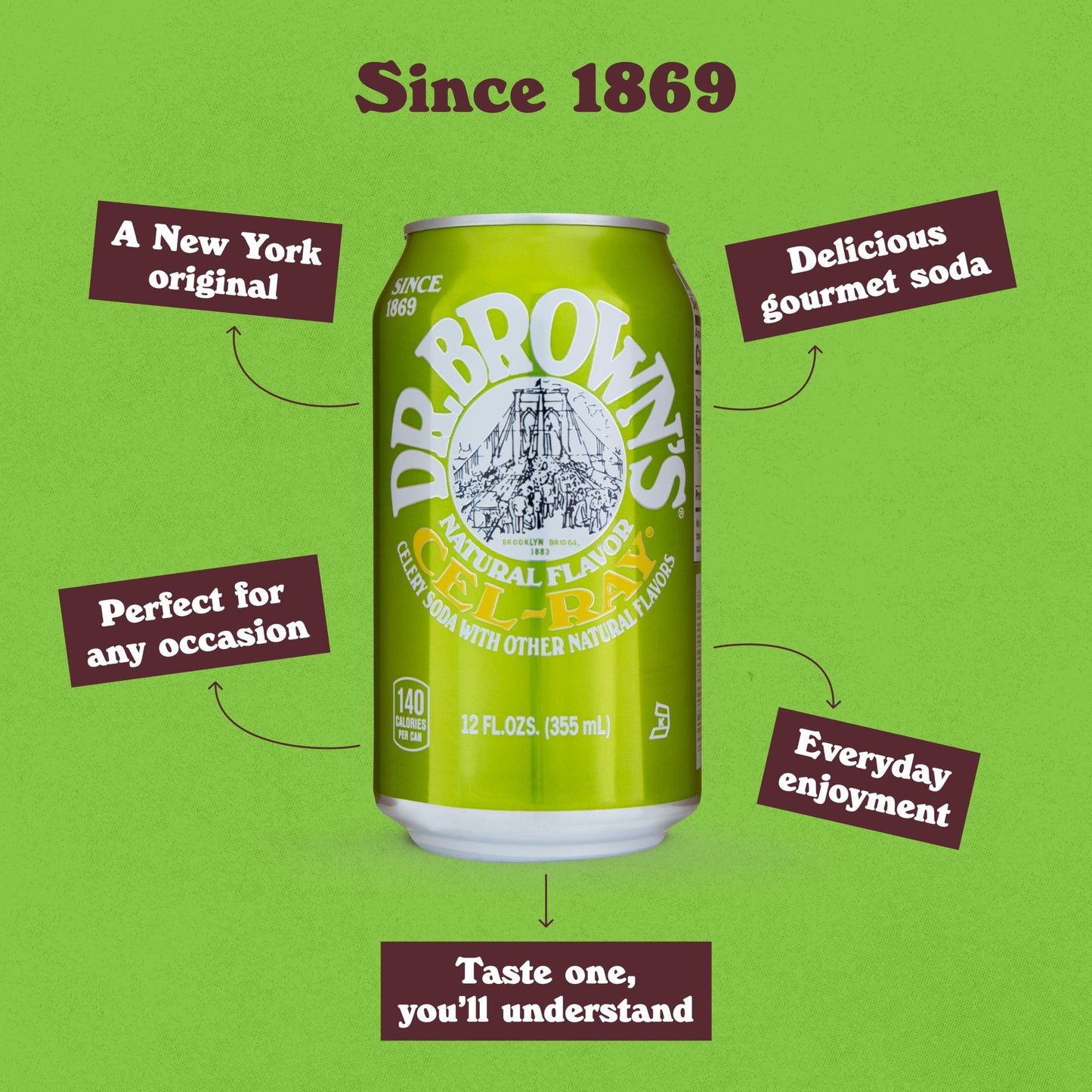 Dr. Brown's Cel-Ray Soda - A New York Original Celery Soda - 24 Cans of Refreshing, Kosher, Gourmet Soda Pop - Craft Celery Soda - 24 x 12 oz Cans