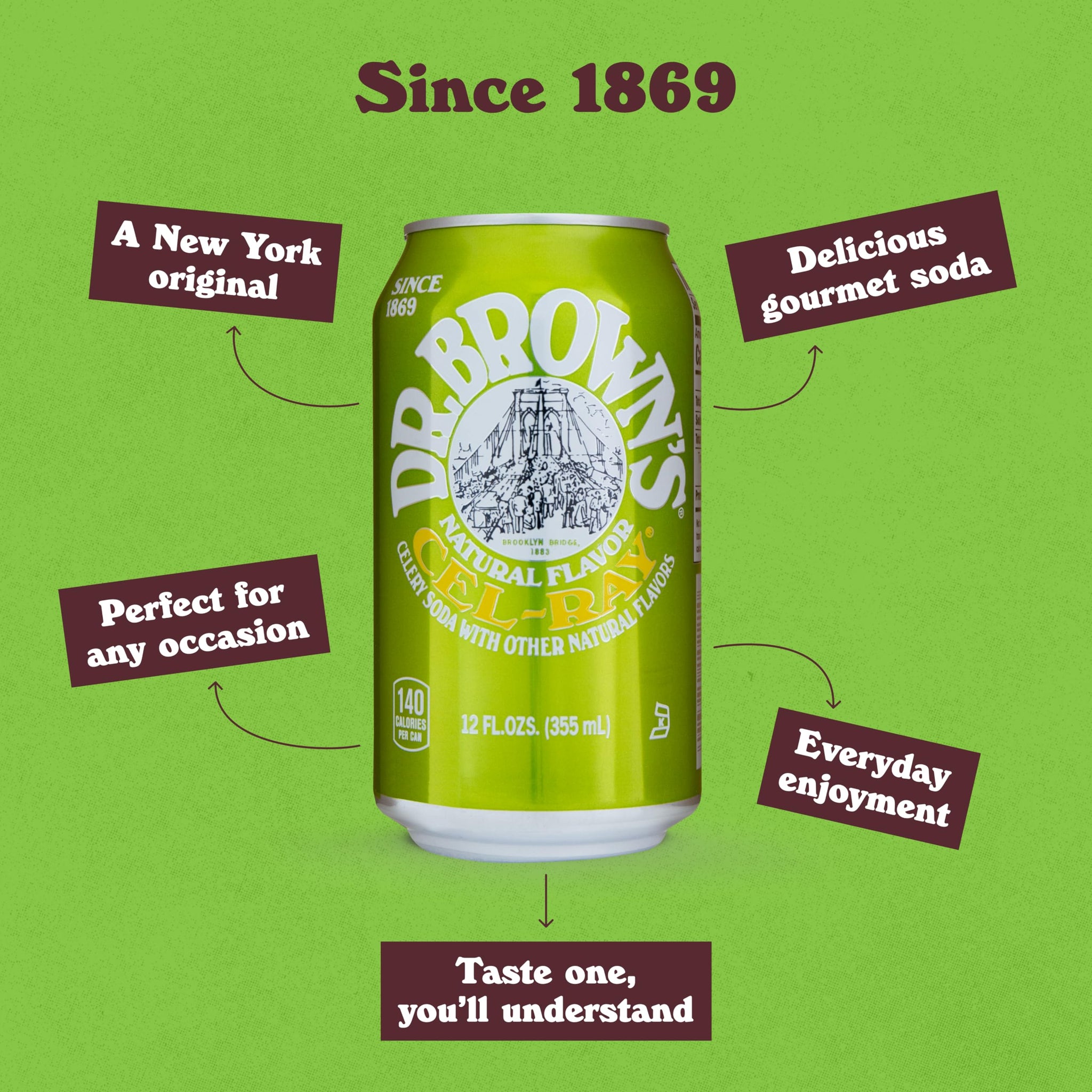 Dr. Brown's Cel-Ray Soda - A New York Original Celery Soda - 24 Cans of Refreshing, Kosher, Gourmet Soda Pop - Craft Celery Soda - 24 x 12 oz Cans