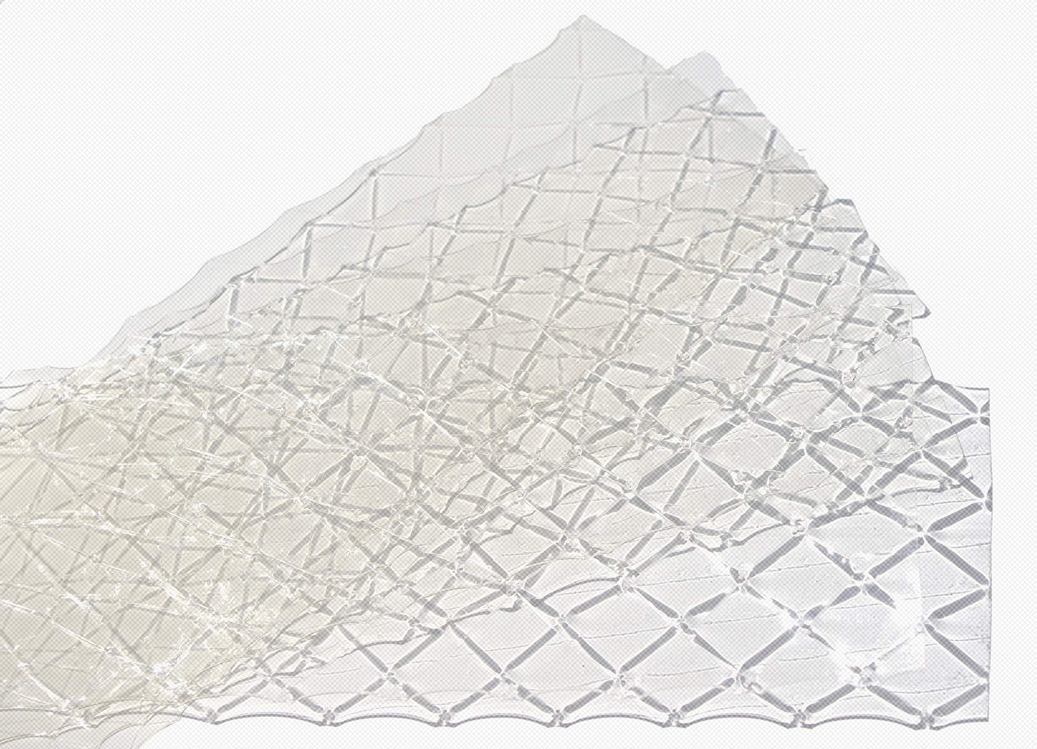 Bronze Leaf Gelatin Sheets, 300 Sheets, 150 Bloom, Champion Leaf Gelatine, 1/KG (2.2/Lbs) [100% USA Owned Family Business]