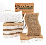 Graham & Ash Co 6 Pack Biodegradable Natural Sponges - with Coconut Scrubber for Kitchen, Surfaces, Non Abrasive