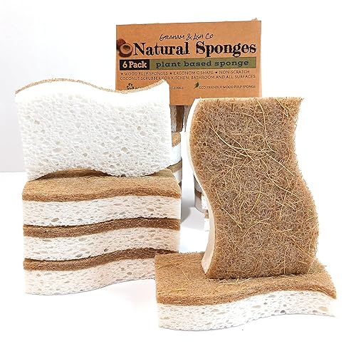 Graham & Ash Co 6 Pack Biodegradable Natural Sponges - with Coconut Scrubber for Kitchen, Surfaces, Non Abrasive