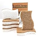 Graham & Ash Co 6 Pack Biodegradable Natural Sponges - with Coconut Scrubber for Kitchen, Surfaces, Non Abrasive