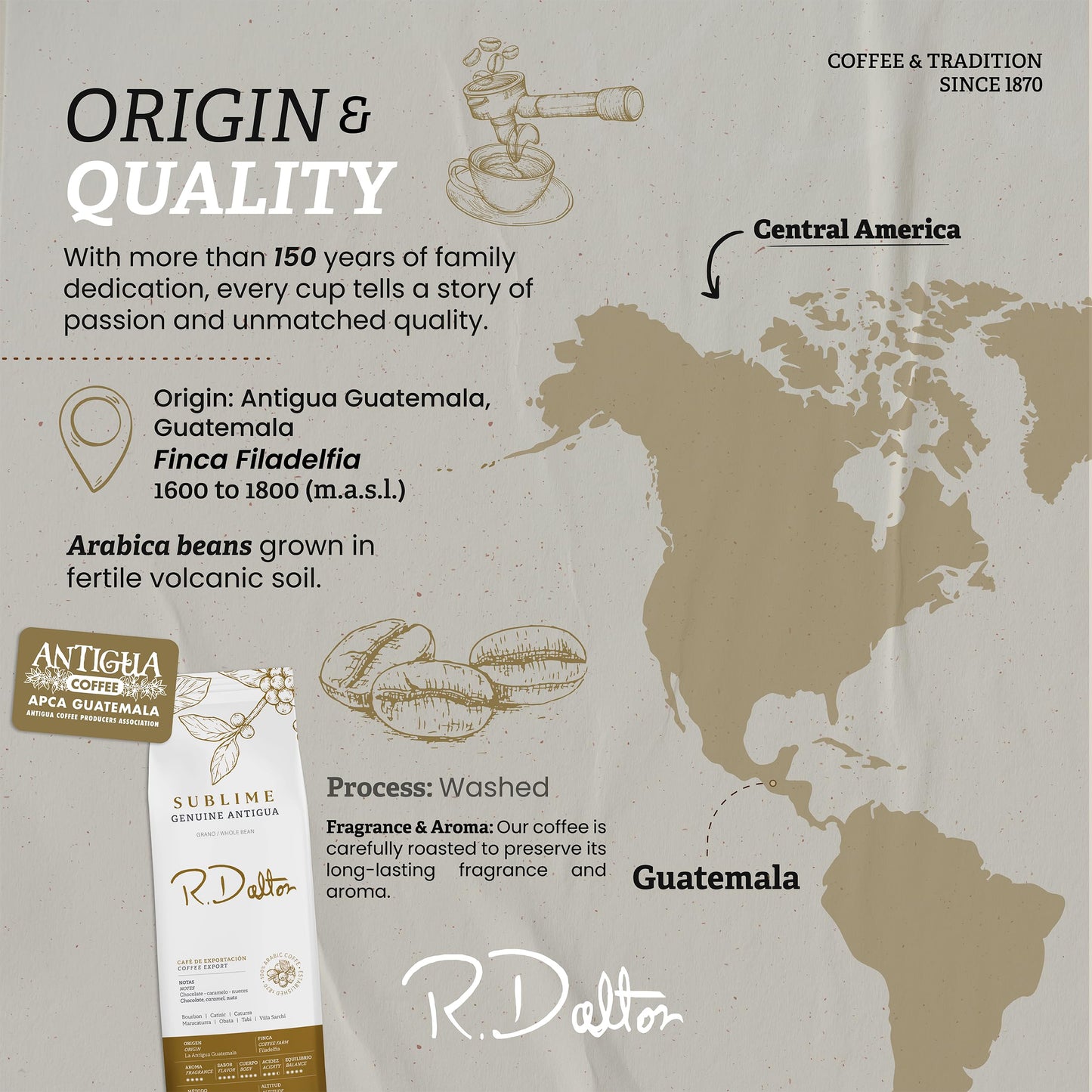 R. Dalton Coffee Sublime Genuine Antigua Whole Bean Coffee - Medium Roast - Exotic Chocolaty And Caramel Notes - All Brewing Methods - Premium Quality