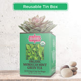 Brew La La Organic Green Tea - Moroccan Mint Flavor - 50 Double Chambered Bags - Low Caffeine Gourmet Tea - Certified Organic