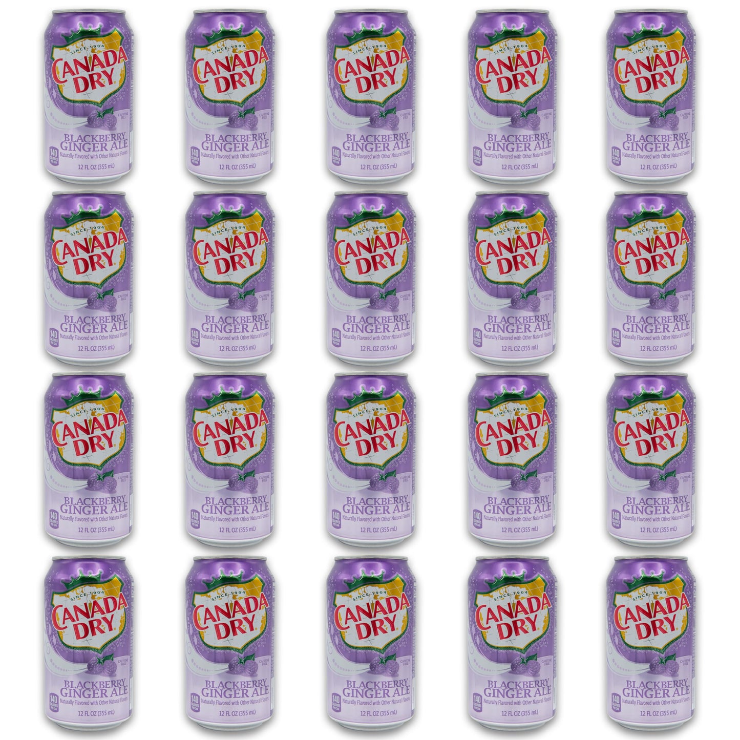 Blackberry Ginger Ale Bundle - Includes 20 Blackberry Ginger Ale cans of 12 oz each by Canada dry Ginger Ale - Ginger Ale Soda Bundle by Despensa