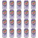 Blackberry Ginger Ale Bundle - Includes 20 Blackberry Ginger Ale cans of 12 oz each by Canada dry Ginger Ale - Ginger Ale Soda Bundle by Despensa