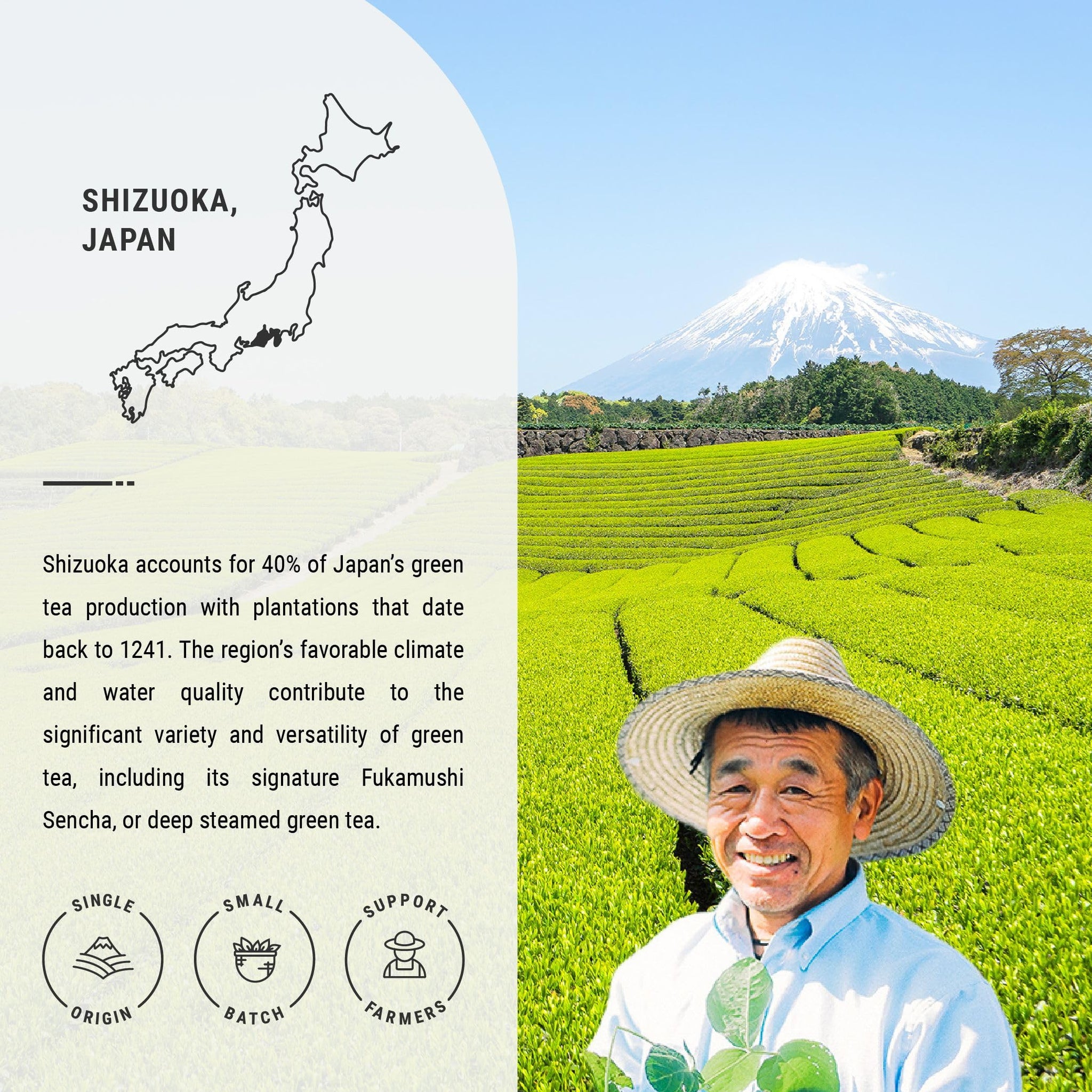 Senbird Premium Sencha - Japanese Green Tea - From Shizuoka, Japan - Loose Leaf Tea In Airtight Tea Tin (3.5oz/100g)