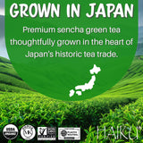 HAIKU Organic Sencha Teabags, 16 CT
