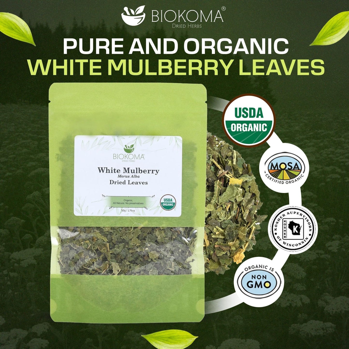 Biokoma Organic White Mulberry Leaf Tea Loose Dried Leaves 1.76oz - Morus Alba Herbal Tea - USDA Organic - Resealable Moisture Proof Pouch - No
