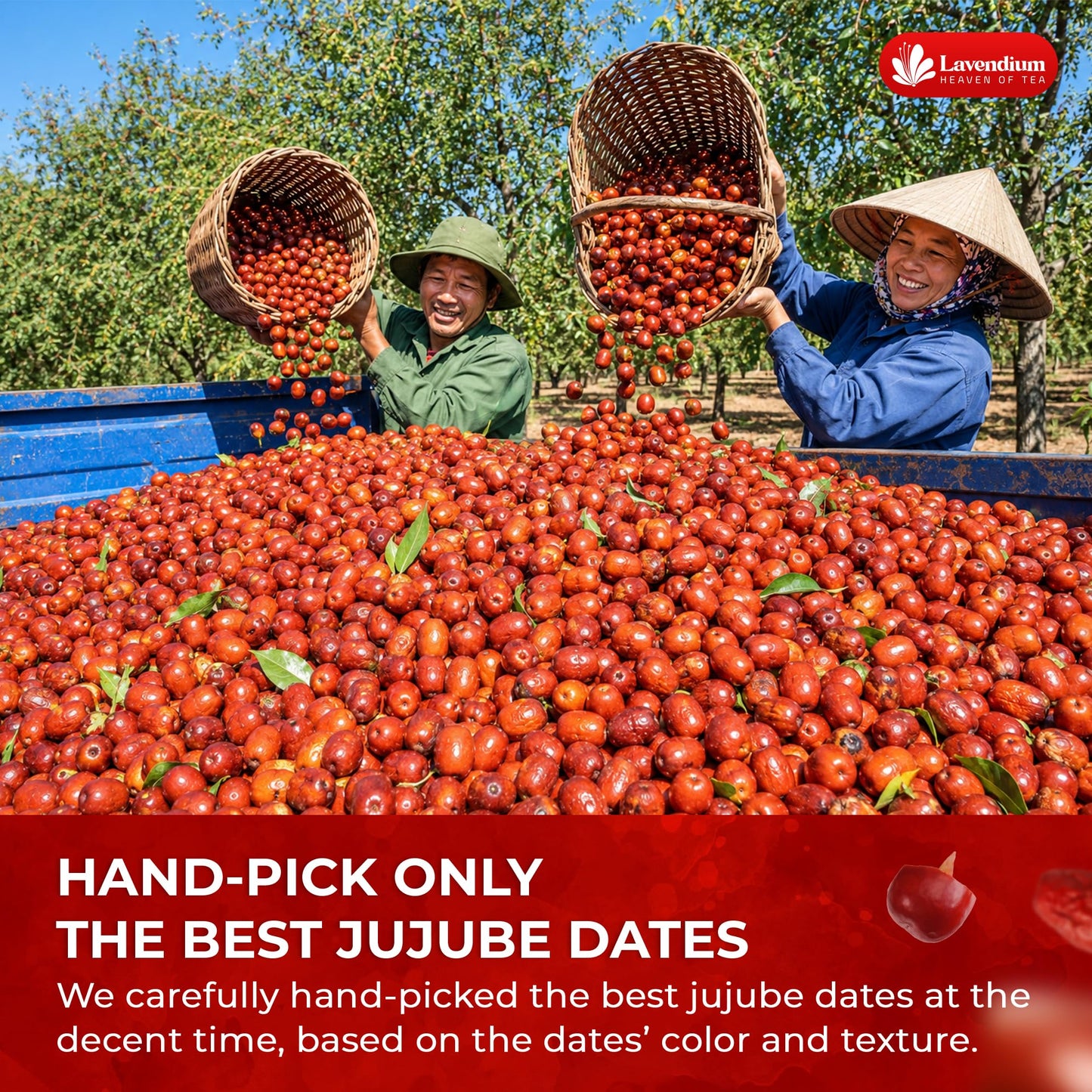 Lavendium, Premium 25oz Dried Jujube Dates, 100% Natural & Pure Red Dates, No Additives or Preservatives, Non-GMO, Gluten-Free, Plant-Based & Vegan